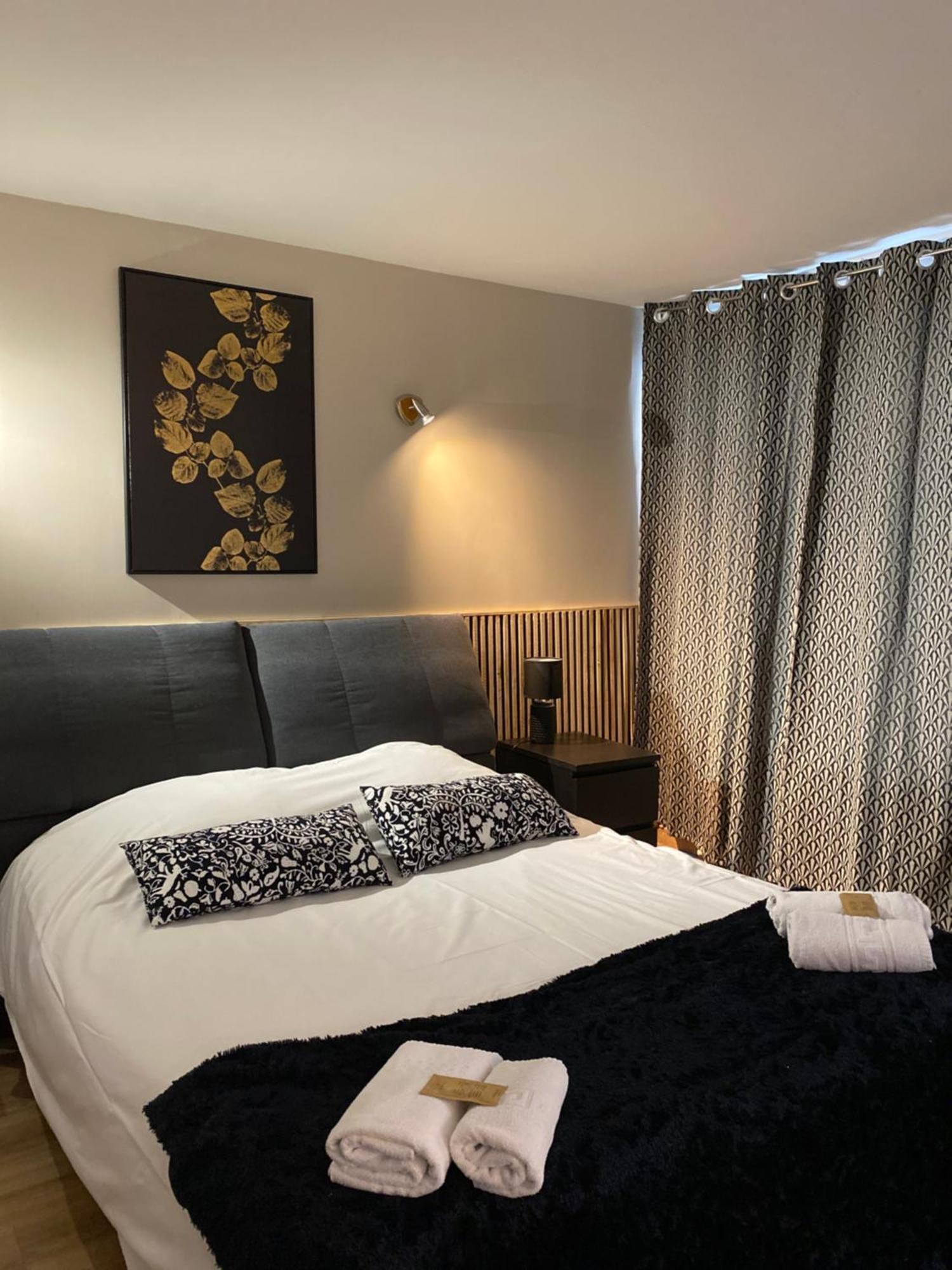 Hotel Des Beaux Arts Chambéry Dış mekan fotoğraf