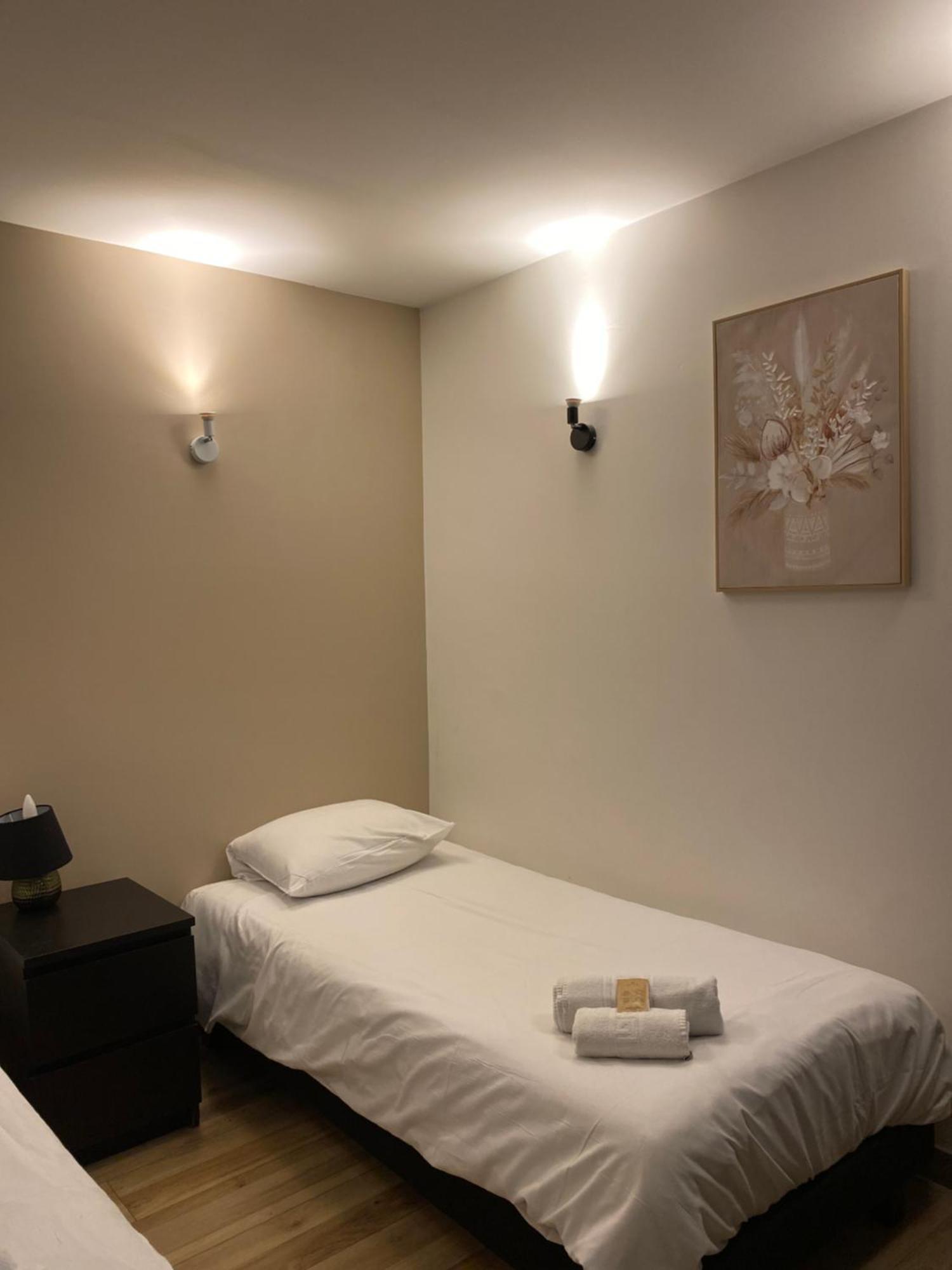 Hotel Des Beaux Arts Chambéry Dış mekan fotoğraf